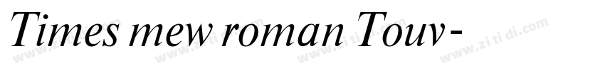 Times mew roman Touv字体转换